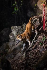 BIB: 
                            <button type="button" onclick="openModal(22163104)" class="btn btn-primary btn-sm float-right btn-popup" data-toggle="modal" data-target=".modal-high-quality">
                        <i class="fas fa-shopping-cart"></i> Add to Cart
                    </button>
                                            <button type="button" onclick="isThisMe(22163104, true)" class="btn btn-success btn-sm float-right btn-popup btn-isme hidden" data-toggle="tooltip" data-placement="bottom" title="นี่คือรูปของคุณใช่ไหม คลิกที่นี่เพื่อเอาเข้าอัลบั้ม">
                        <i class="fas fa-plus"></i> Add to album
                    </button>
                    <button type="button" onclick="isThisMe(22163104, false)" class="btn btn-warning btn-sm float-right btn-popup btn-isnotme hidden">
                        <i class="fas fa-ban"></i> Remove from album
                    </button>